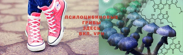 СК Аркадак