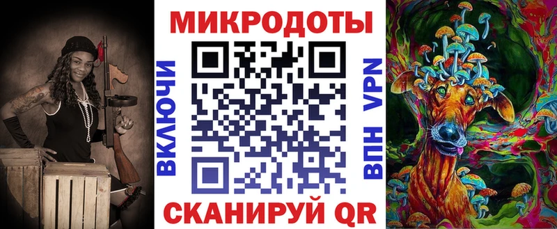 Купить где  Славск  Галлюциногенные грибы Psilocybe 